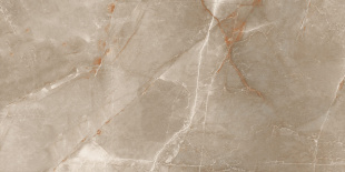 Керамогранит Ceraland Bostone Brown (60х120) глянец